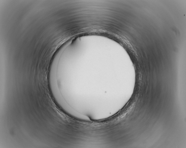 X0000111380881200908211337