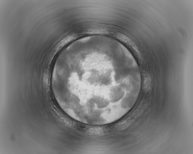 X0000111380882200908211337