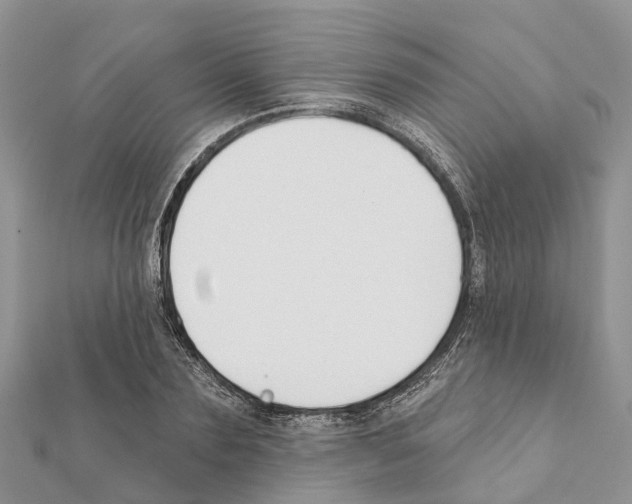 X0000111380883200908211337