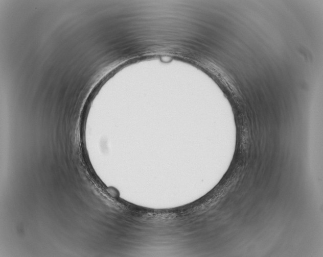 X0000111380884200908211337