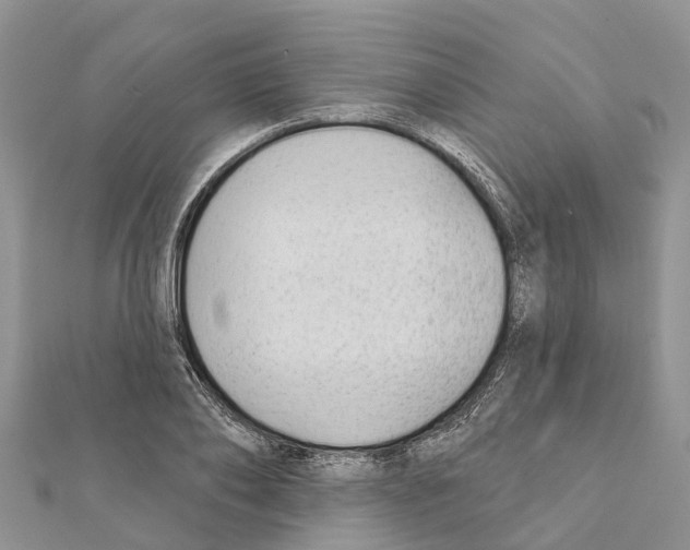 X0000111380886200908211337