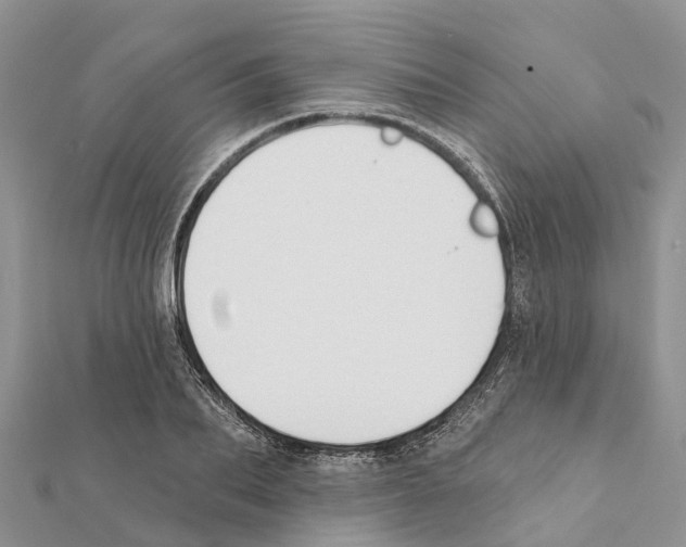 X0000111380887200908211337