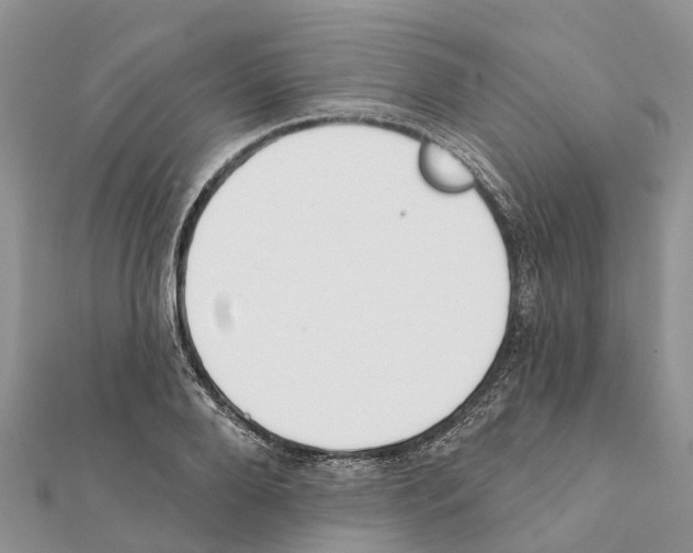 X0000111380888200908211337