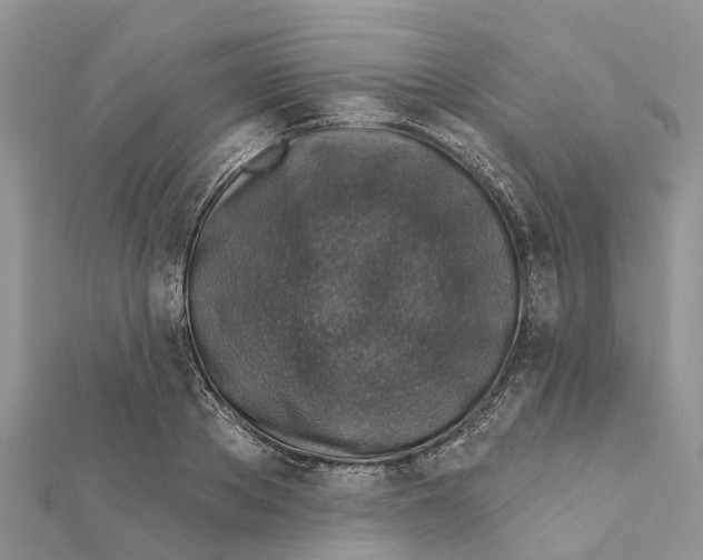 X0000111380889200908211337