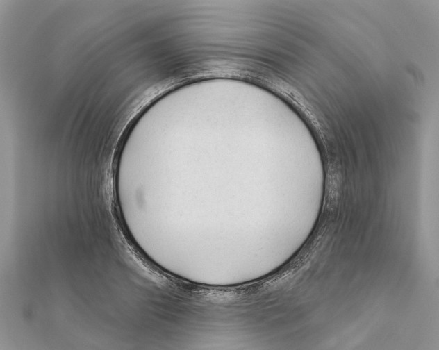 X0000111380890200908211337