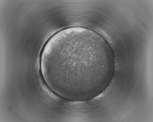 X0000111380892200908211337