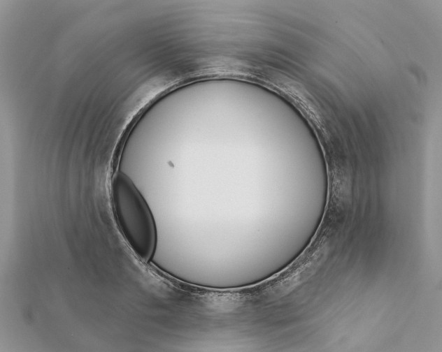 X0000111380893200908211337