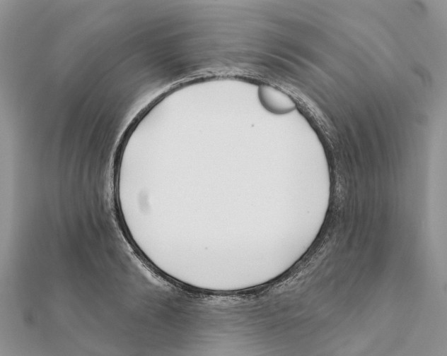 X0000111380894200908211337