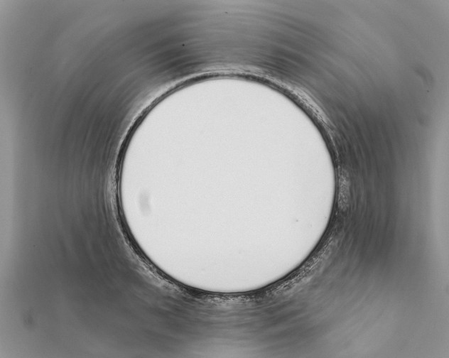 X0000111380895200908211337