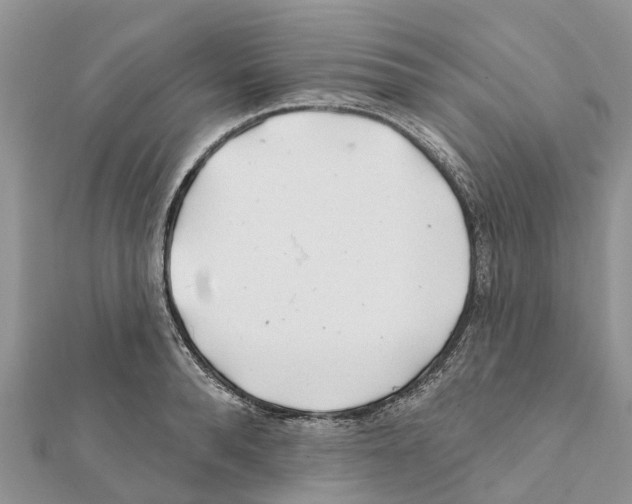 X0000111380896200908211337