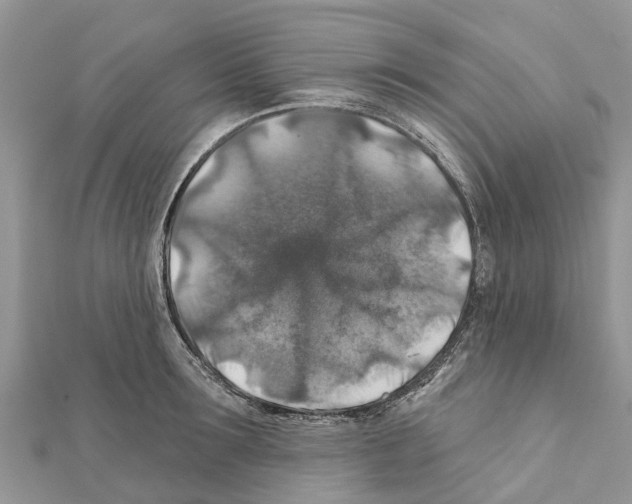 X0000111380899200908211337