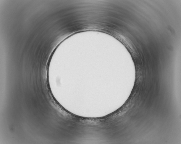 X0000111380900200908211337