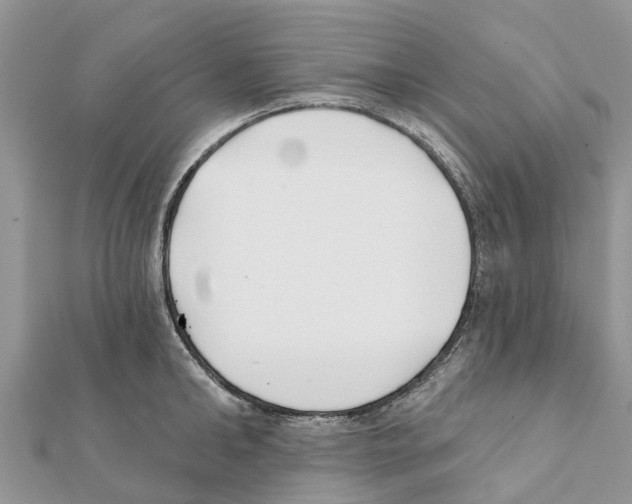 X0000111380902200908211337