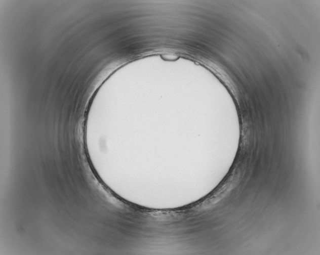 X0000111380906200908211337