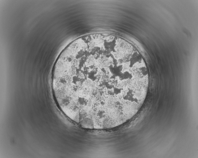 X0000111380907200908211337