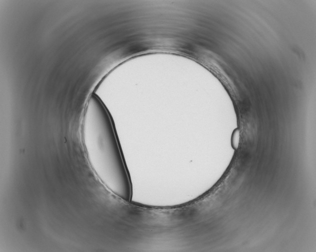 X0000111380908200908211337