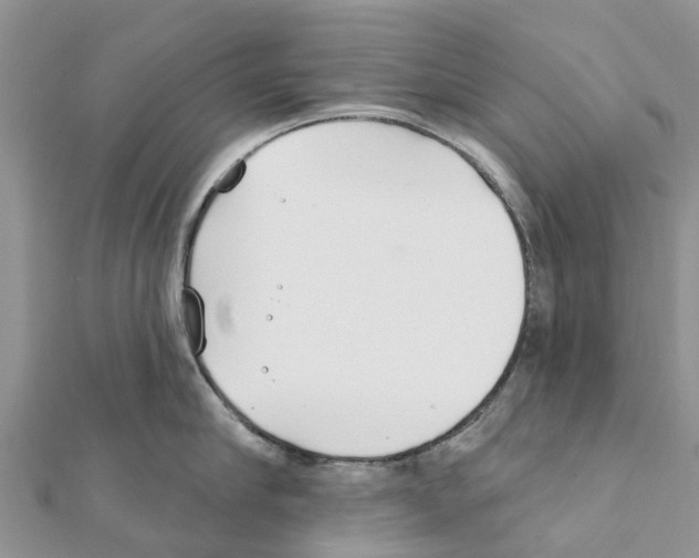 X0000111380910200908211337