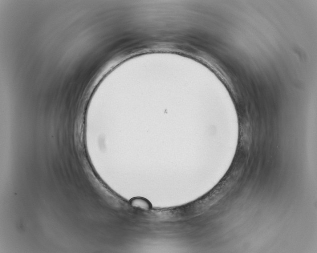 X0000111380911200908211337