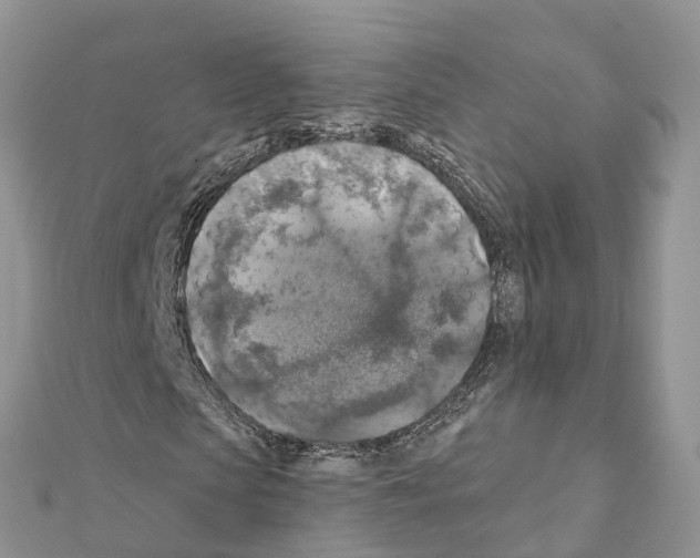 X0000111380913200908211336