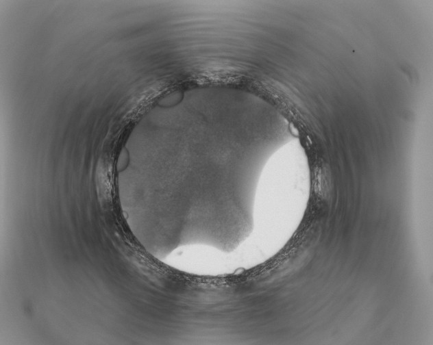 X0000111380915200908211336