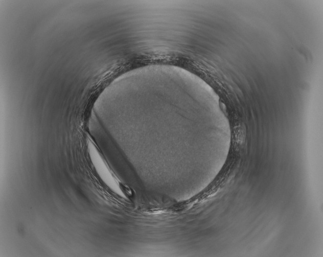 X0000111380916200908211336