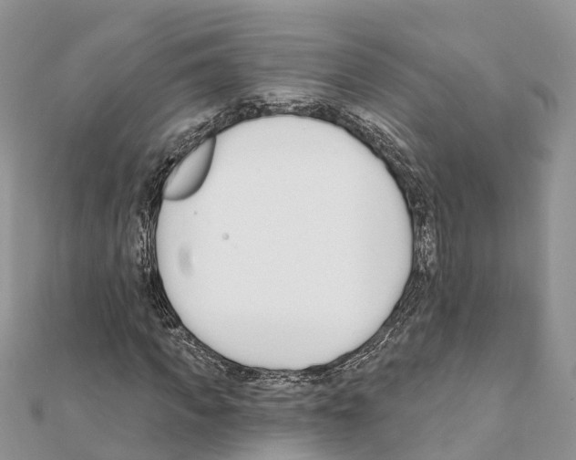 X0000111380917200908211336