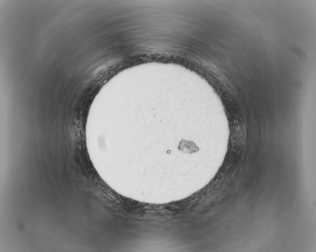 X0000111380918200908211336