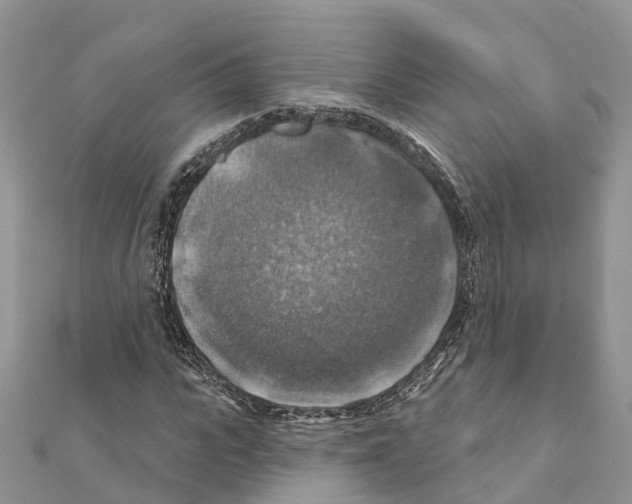 X0000111380919200908211336