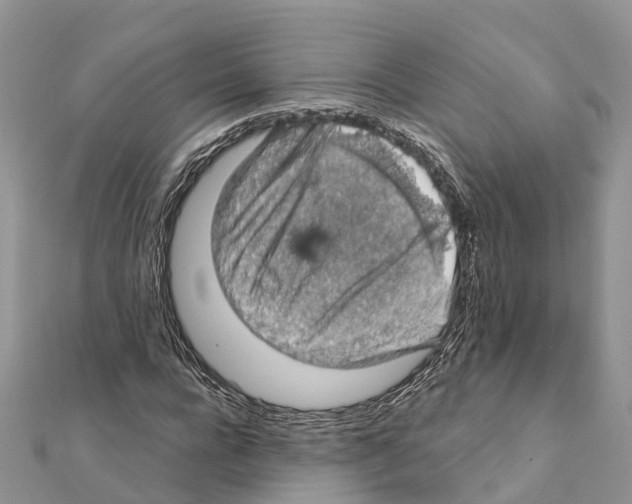 X0000111380920200908211336