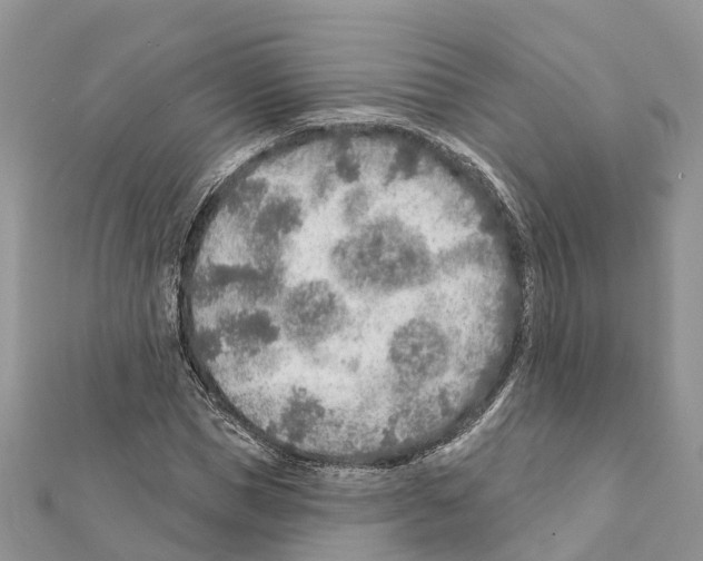 X0000111380921200908211336