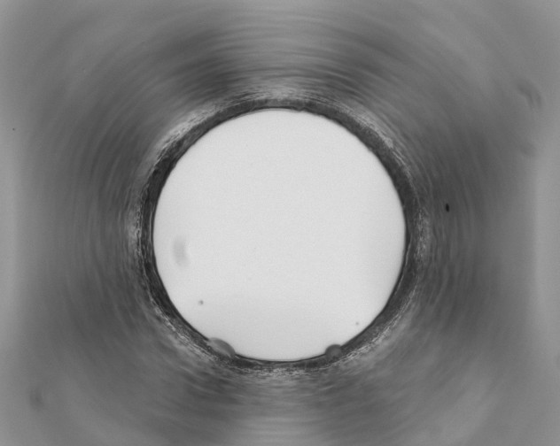 X0000111380922200908211336