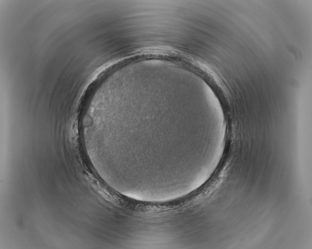 X0000111380923200908211336