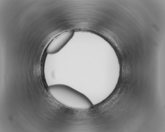 X0000111380924200908211336