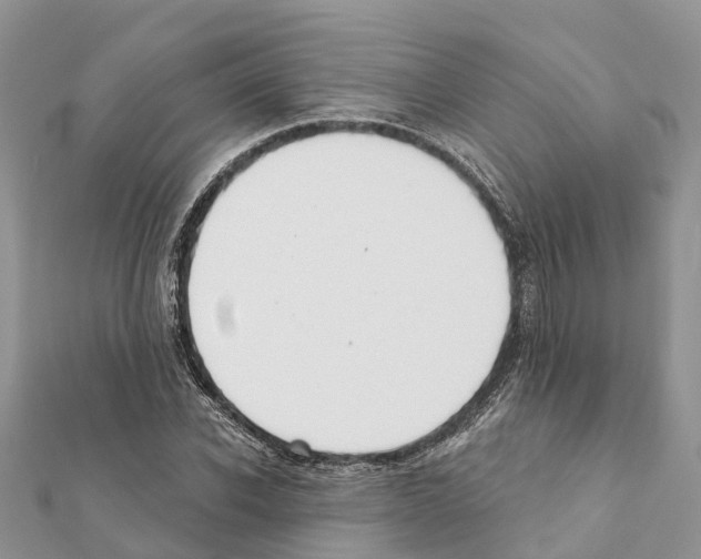 X0000111380926200908211336