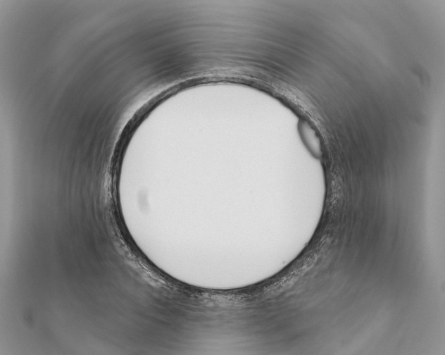 X0000111380928200908211337