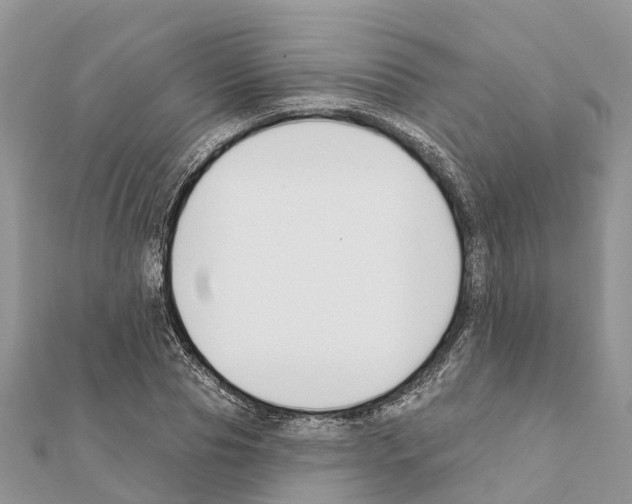 X0000111380929200908211337