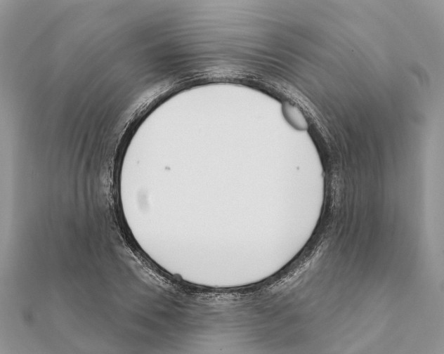 X0000111380930200908211337