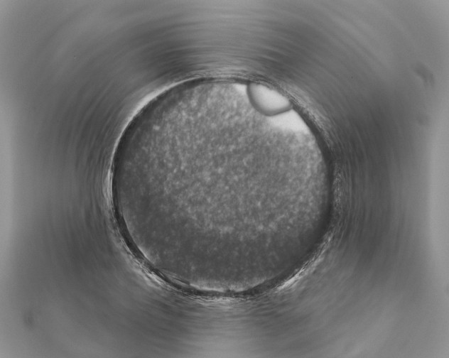 X0000111380932200908211337