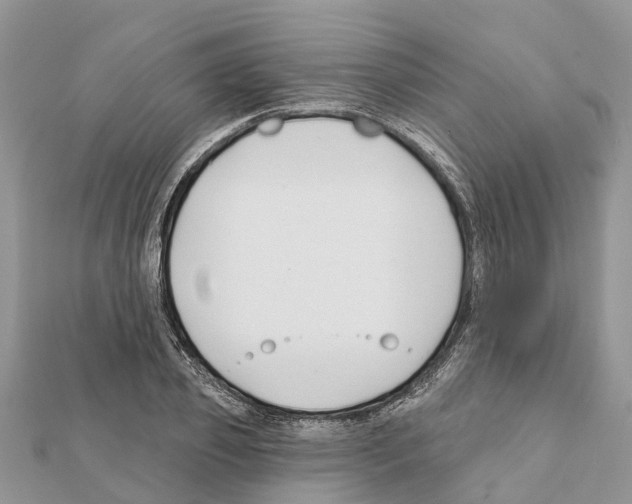 X0000111380933200908211337