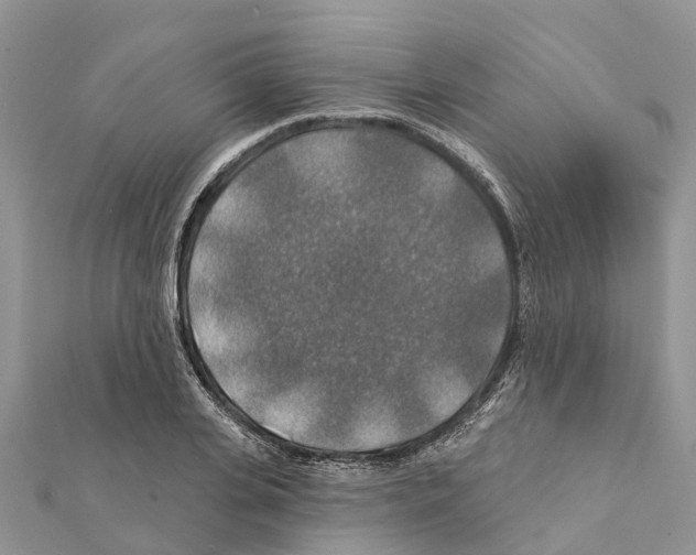 X0000111380935200908211337