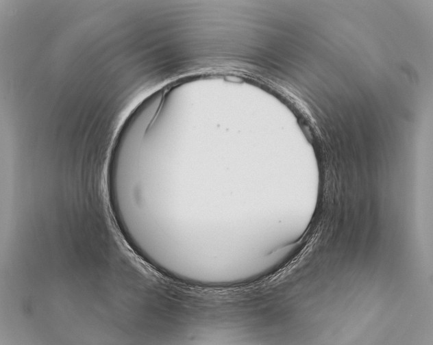 X0000111380936200908211337