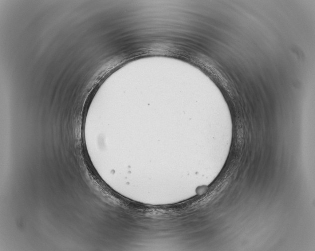 X0000111380938200908211337