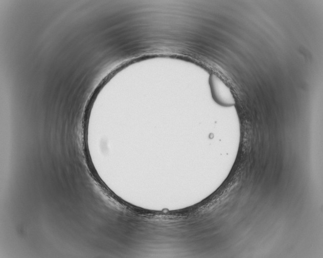 X0000111380942200908211337