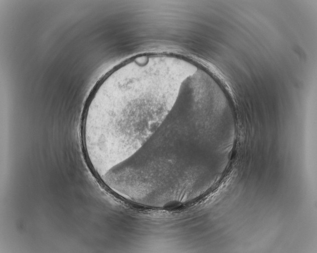 X0000111380943200908211337