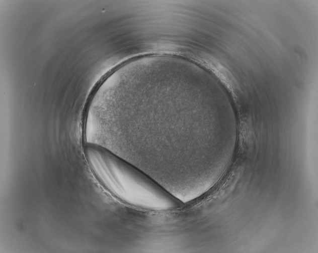 X0000111380944200908211337