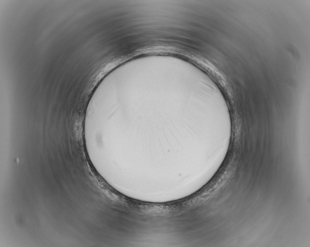 X0000111380945200908211337