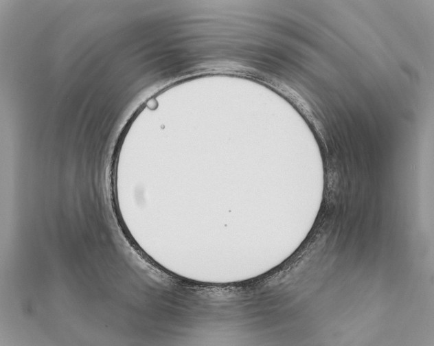 X0000111380947200908211337