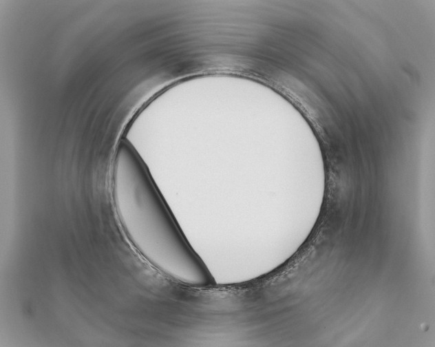 X0000111380948200908211337