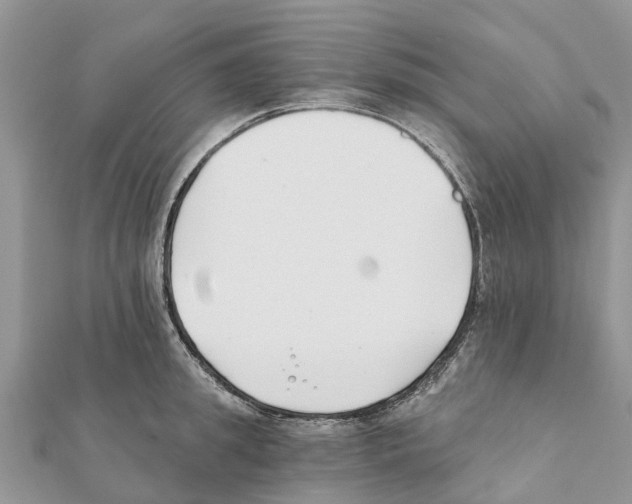 X0000111380949200908211337