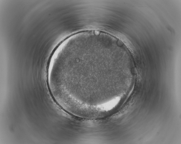 X0000111380950200908211337